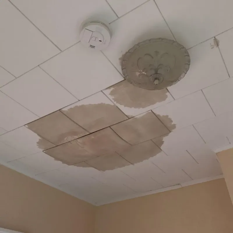 Ceiling Water Damage Repair in Mantua, VA