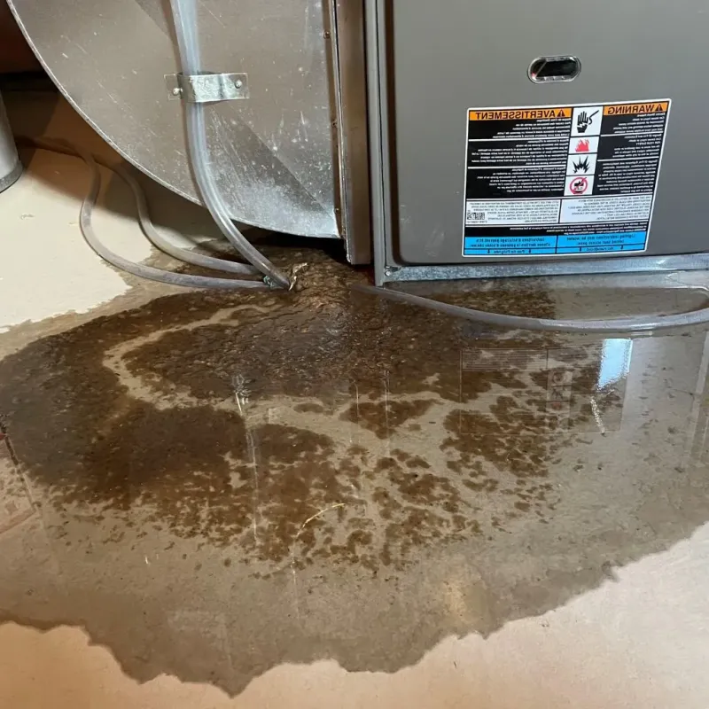 Pipe Burst and Leak Restoration in Mantua, VA