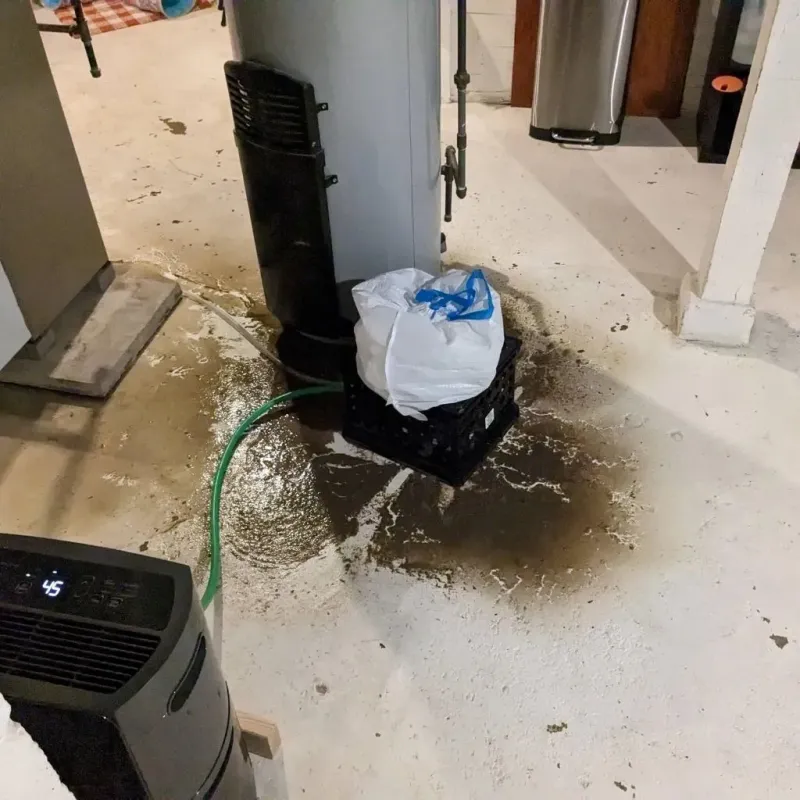 Sewage Backup Cleanup Service in Mantua, VA